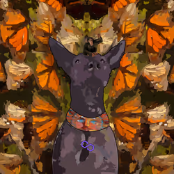 1035