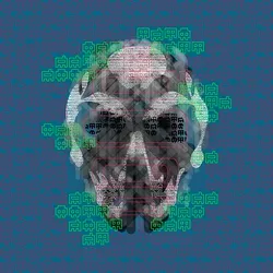 the society of mind