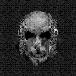 zeroth law