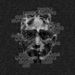ghosts of perception