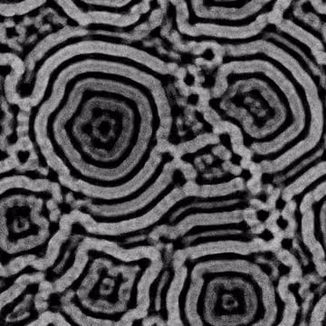 31820145363565995475565808681699772533099790137067530759761217146655371653098