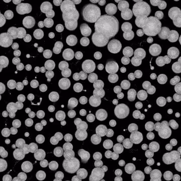 109756489743418279948022296820257745757229480070489034960221550030892017364116