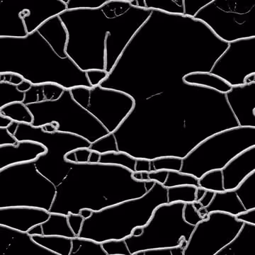 Item #112478779609398727296318639698804868409905475068419684504964656296439584494965 Media