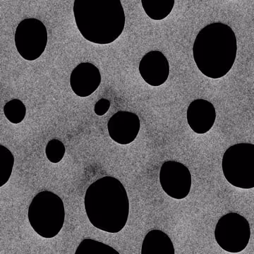 60555235769946072280257368134421579233129900805931125862653074656717210657350