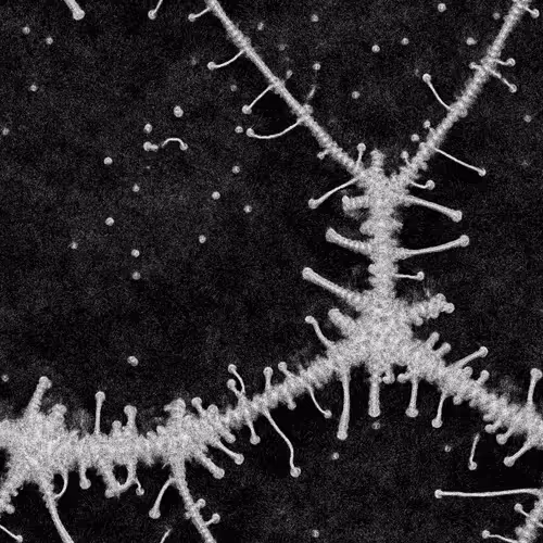 Item #95543158056778133118455819643347502893421578935560723827960299458626561964336 Media