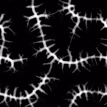 54950933058261189443811690230205364815834649260599699471843244737216885808589