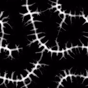 Item #54950933058261189443811690230205364815834649260599699471843244737216885808589 Media