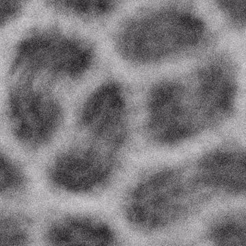 18698764637565186712817975068720307980521463968285219645773655026414864292038