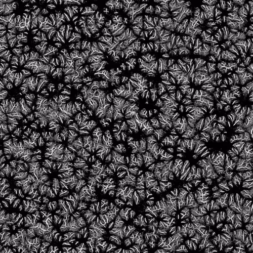 Item #23756738345104985956279491196512625532472776404128855896704203620849904452811 Media