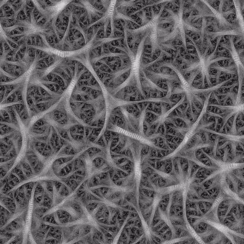 Item #30169743894372405399814053470325713857822493152084656191451240314612461820657 Media