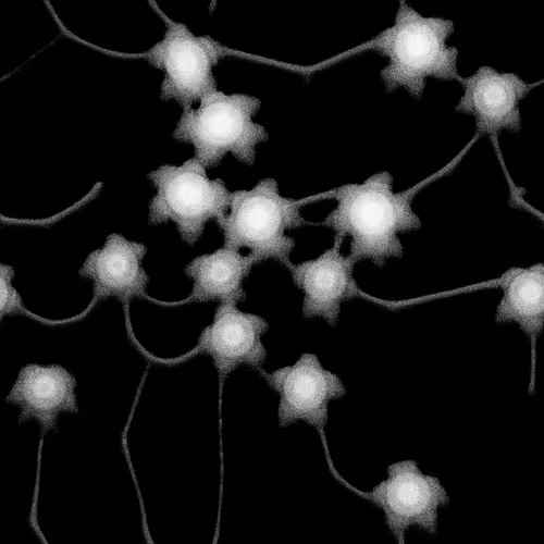 Item #86901163340150327158931737285279027599235005837676884064067046790749010992666 Media