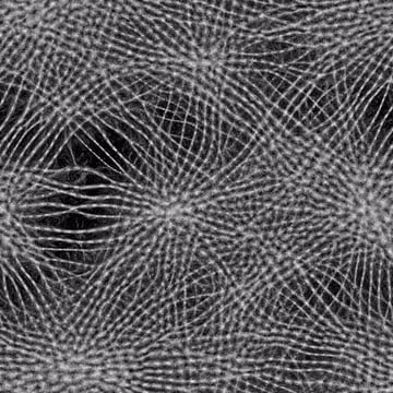 95160584055628064619537000106227551353849474859117617365427221214871443599613