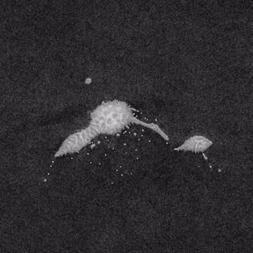 Item #37985513803993673830106652487622242224680120184398274991579420177029905026714 Media