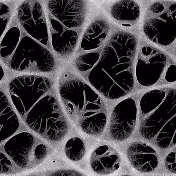 Item #6229100147646990607419186448973685356003330360291535307888976845307913171916 Media