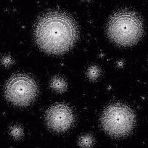 Item #35358845553855715712537579587341818726651427648428517957934097602435224403756 Media