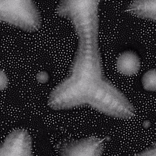 Item #61302490045802210421291602096864529165791544979575746562596776854588594450501 Media