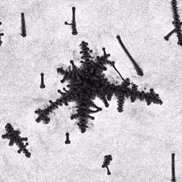 Item #63151345934093658910279098575106826835637174158898273242533855235071619205362 Media