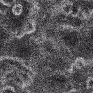 94406231090857735319495407328393197044459388382770307541637151012742187764658