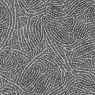 113631258753652137686654951879316359262553048824792126652063215429159754885130