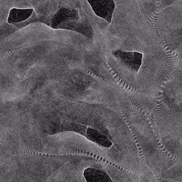 52630059605360980240030978008624659997772624655712940351231983069206296894732