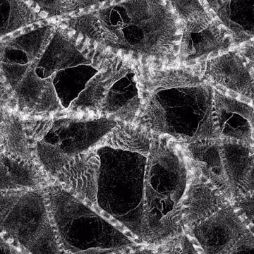 Item #11664021220004922721158142696805109385017351455970048986406817807233226597982 Media