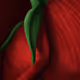 Petals Whisper