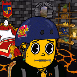 Castle Kid #4398