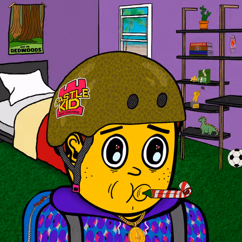 Castle Kid #1232