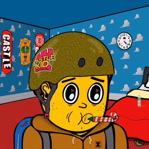 Castle Kid #2791