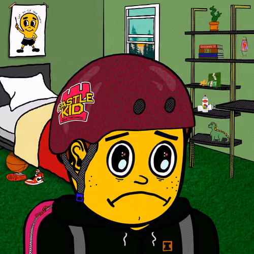 Castle Kid #6115