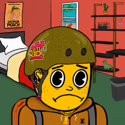 Castle Kid #8479