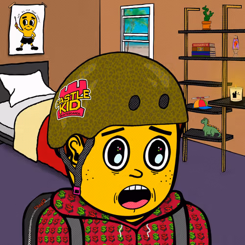 Castle Kid #6768
