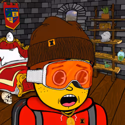 Castle Kid #9206