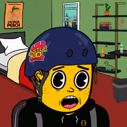 Castle Kid #3245