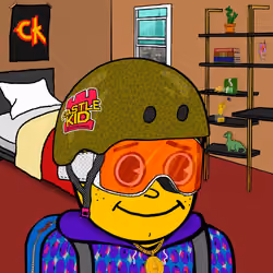 Castle Kid #4288