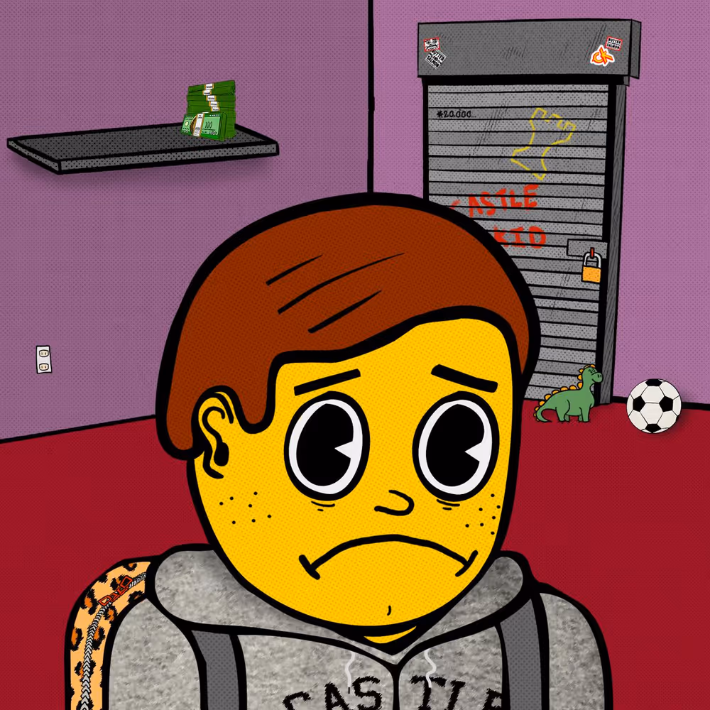 Castle Kid #9974