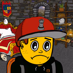 Castle Kid #4886