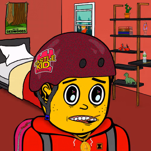 Castle Kid #2644