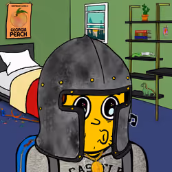Castle Kid #3579
