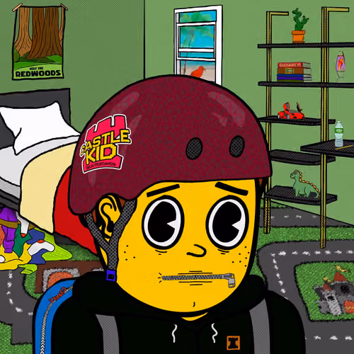 Castle Kid #9060