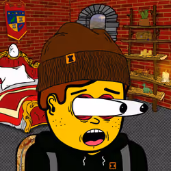 Castle Kid #5693