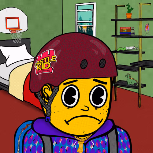 Castle Kid #7954