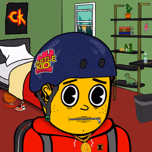 Castle Kid #5191