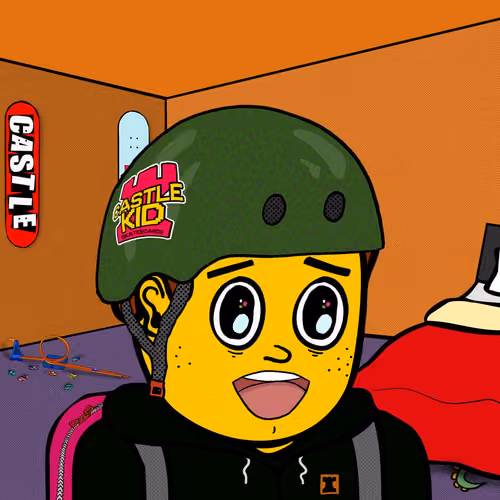 Castle Kid #4631