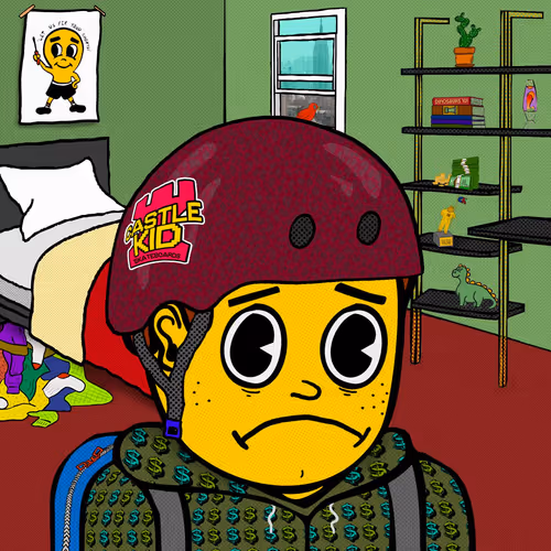 Castle Kid #9990