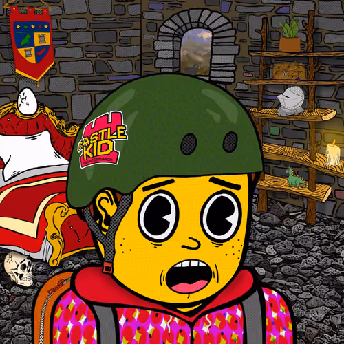 Castle Kid #816