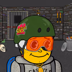 Castle Kid #6334