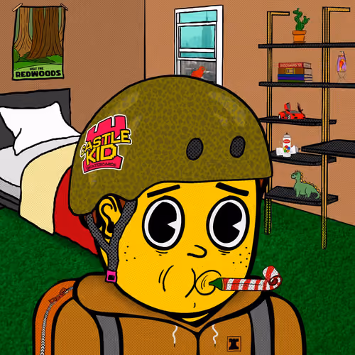 Castle Kid #9445