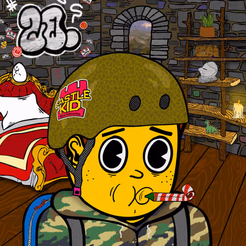 Castle Kid #5494