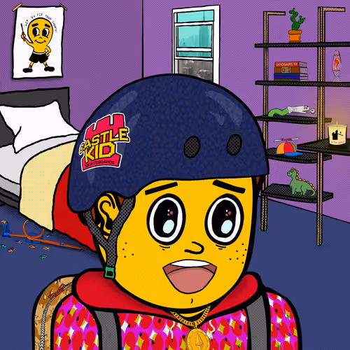 Castle Kid #4555